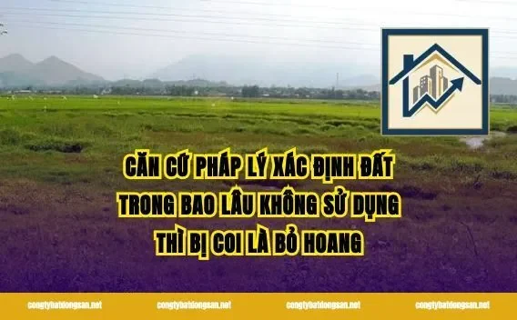 Căn cứ pháp lý xác định đất trong bao lâu không sử dụng thì bị coi là bỏ hoang