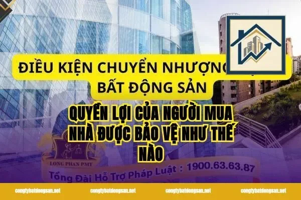Quyền Lợi Của Người Mua Nhà Được Bảo Vệ Như Thế Nào